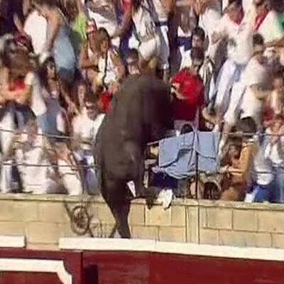 Stier stürmt Tribüne