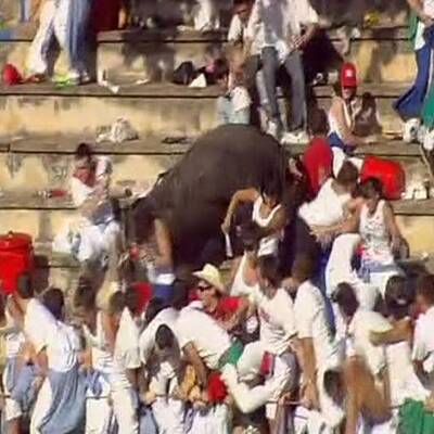 Stier stürmt Tribüne