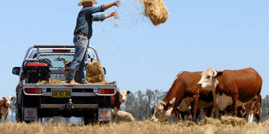 Australiens Farmen ohne Wasser