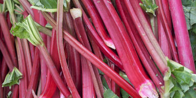 Rhabarber abc