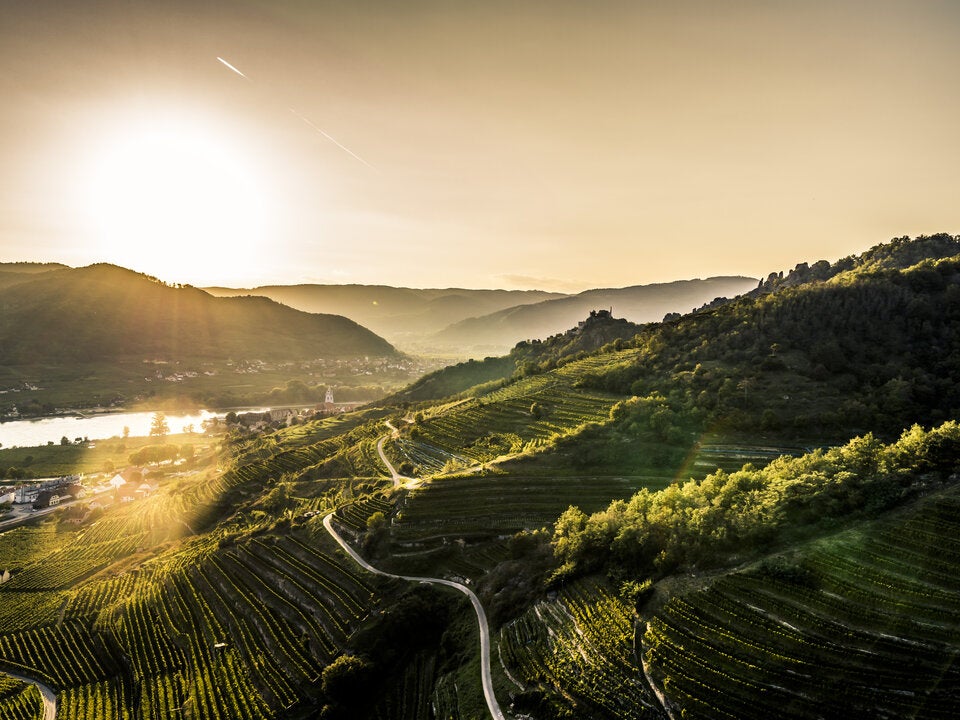 Vinea Wachau lädt zum Weinfrühling und zur Steinfedernacht