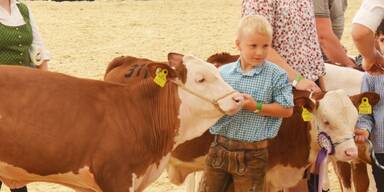 Viele Tierschauen auf der Rieder Messe