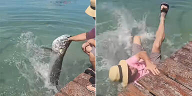 Schock-Video: Riesenfisch reißt Mann ins Meer