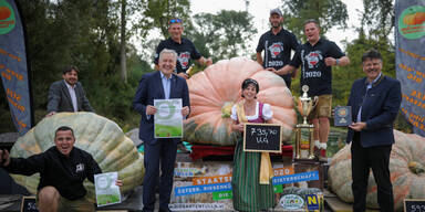 Neuer Rekord: Dieser K&uuml;rbis ist 735,7 Kilo schwer