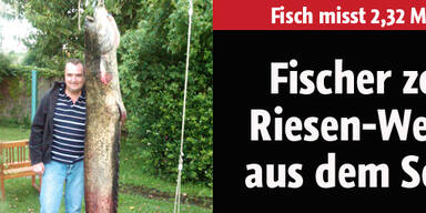 Fischer zog einen Riesen-Wels aus See