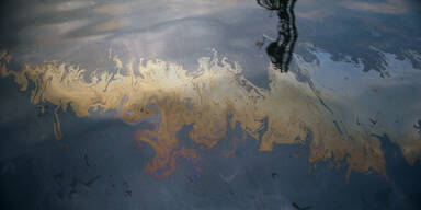 Riesiger &Ouml;lteppich vor Korsika verschmutzt Strand