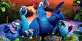 "Rio 2": Die gefiederte Ara-Familie packt das "Dschungelfieber"