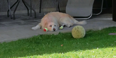 Doppelmord Steiermark