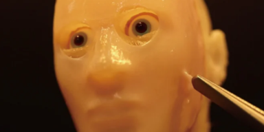 Forscher verpassen Roboter lebendige Haut