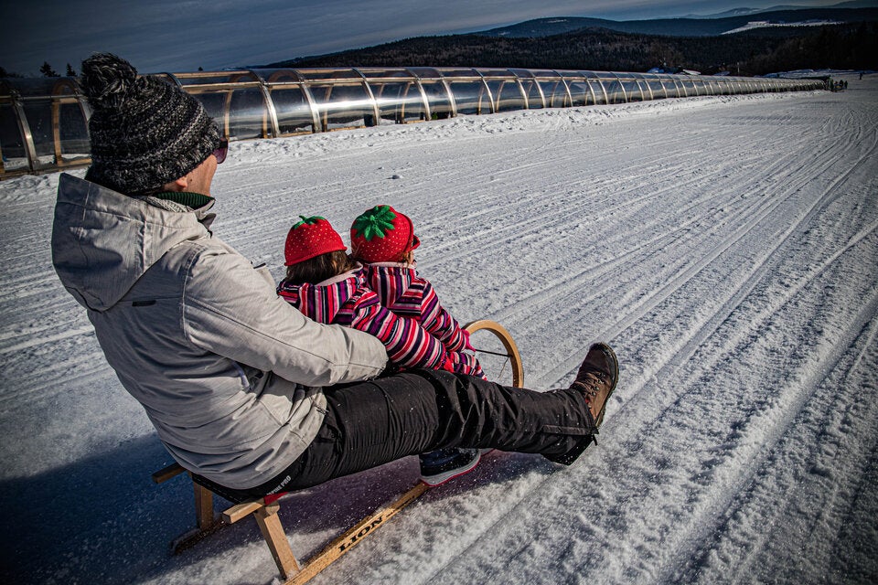 Mit Schwung den Hang hinab. Rodelspaß im Bayerischen Wald.