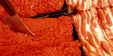 Rohes Fleisch Faschiertes