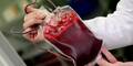 Rotes Kreuz ruft zum Blutspenden auf
