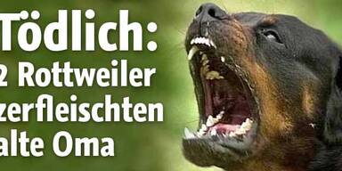 2 Rottweiler zerfleischten eine Frau