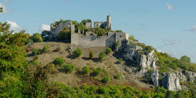 Burgruine Falkenstein
