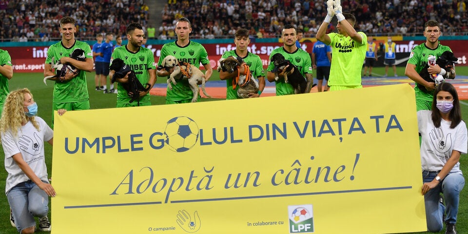 Rumänien Spieler laufen mit Hunde im Arm ein