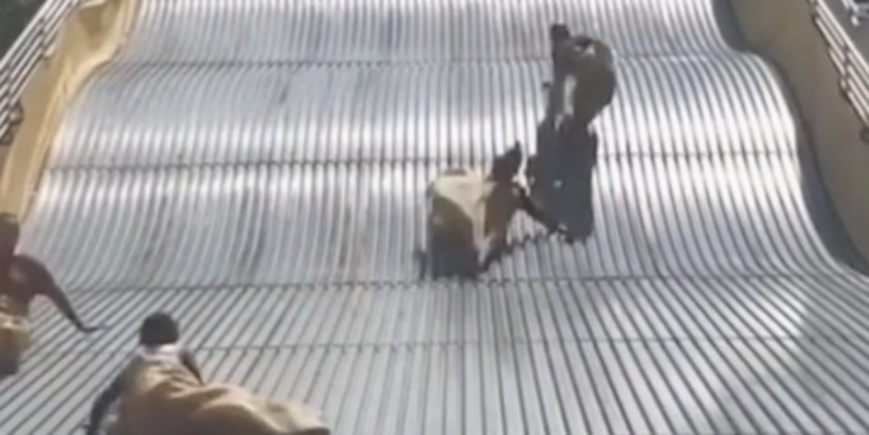 Hilfe, bei dieser Rutsche hört der Spaß auf!