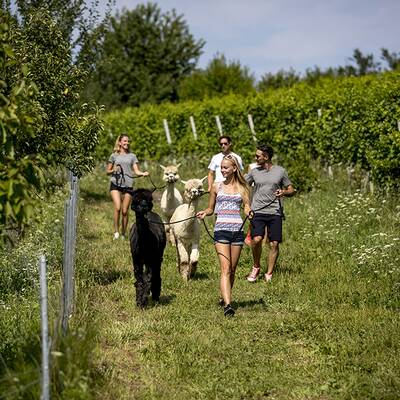Aktivurlaub in der Südsteiermark