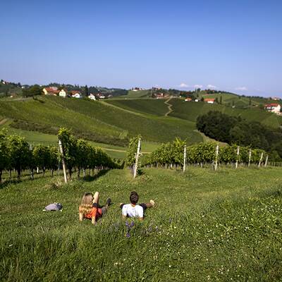 Aktivurlaub in der Südsteiermark