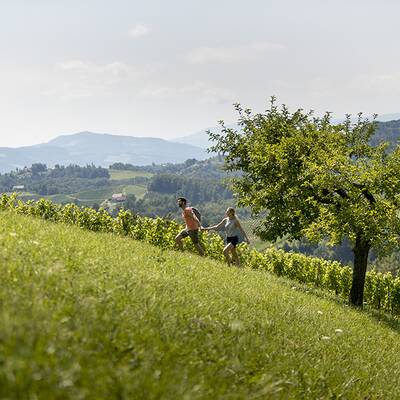 Aktivurlaub in der Südsteiermark