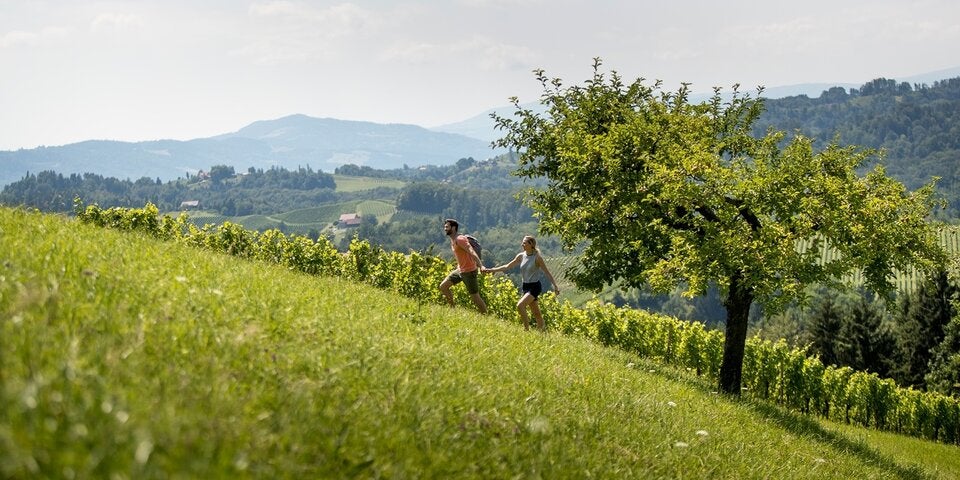 Wandern in der Südsteiermark