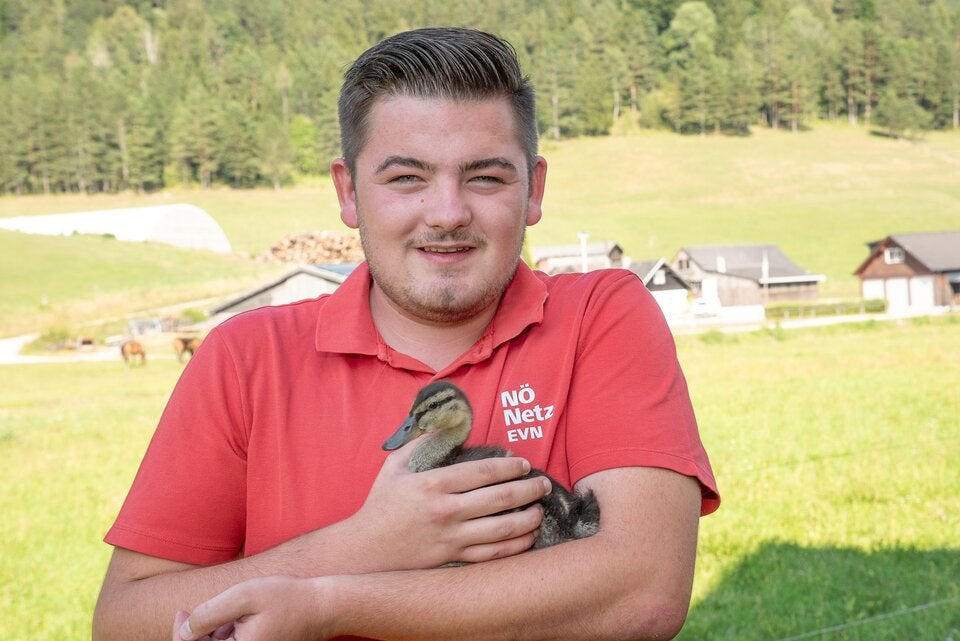 Besuch aus Entenhausen im Netz NÖ Service Center