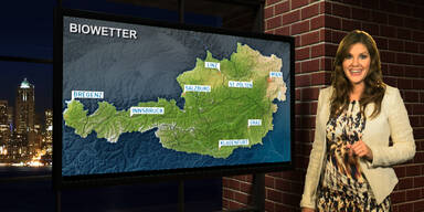 Bio-und Pollenwetter