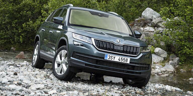 Alle Infos vom neuen Skoda Kodiaq