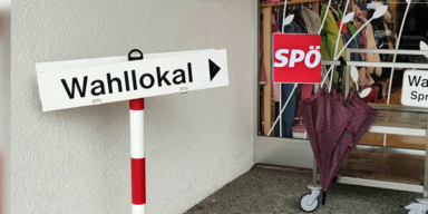 SP&Ouml;  web.png