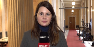 SPÖ-Präsidiurteitag in Linz geplant.png