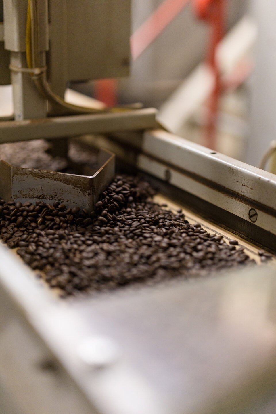 REgio Kaffeerösterei in Marchtrenk/OÖ