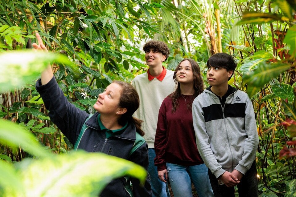 Lehrausgang ins Palmenhaus