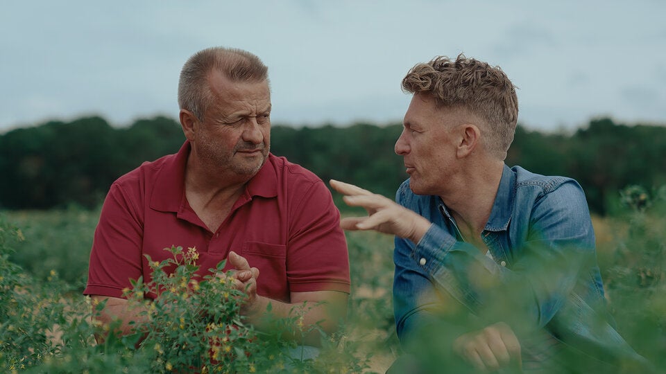 Spar Knoll (v)ermittelt