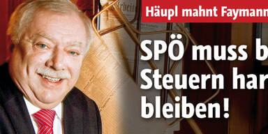 Michael Häupl mahnt Werner Faymann