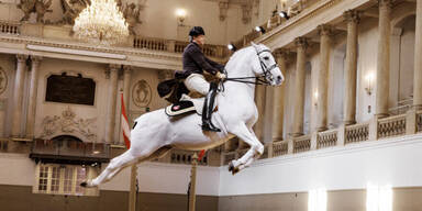 Spanische Hofreitschule