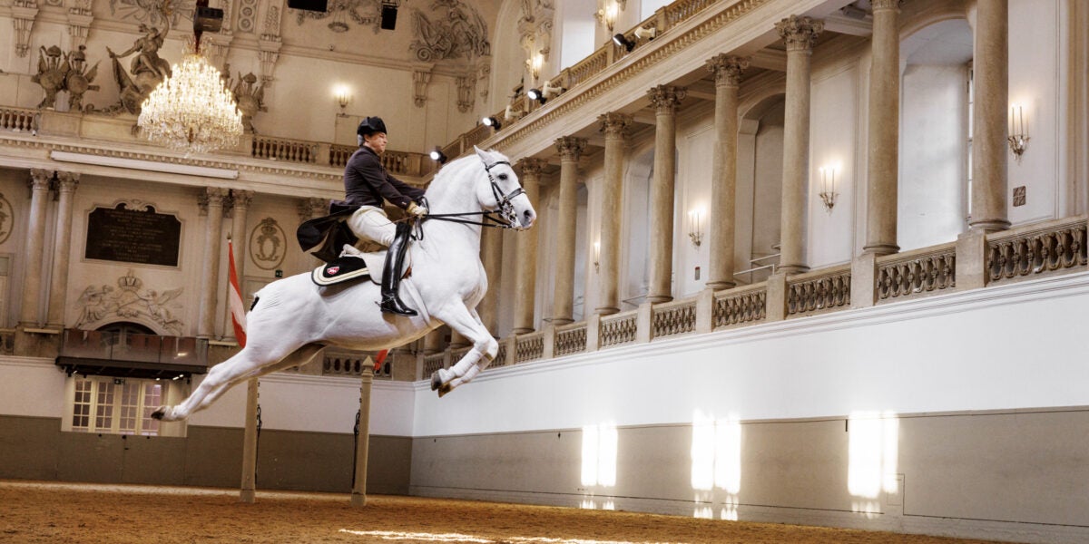 Spanische Hofreitschule