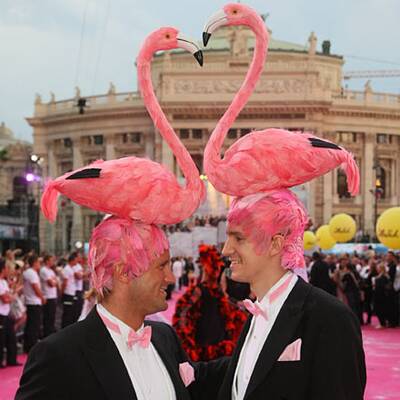 Die schönsten Paare