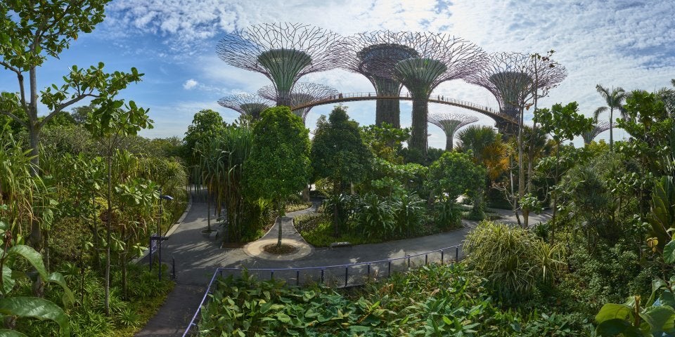 Gardens by the Bay