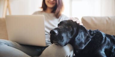 Neue Smart-Apartments f&uuml;r Studierende und ihre Haustiere!