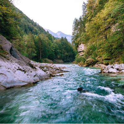 Chalet FourElements - Living by Berger 