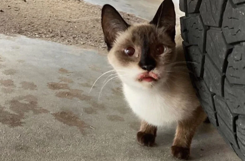 Instagram/Screenshot/sadmouthsam