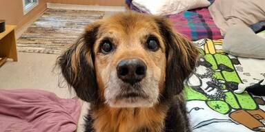 Tierische Herbstferien am Assisi-Hof in Stockerau