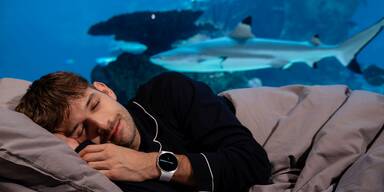 Gesunder Schlaf steht im Fokus - Samsung startet &rsaquo;Sleeptember&lsaquo;