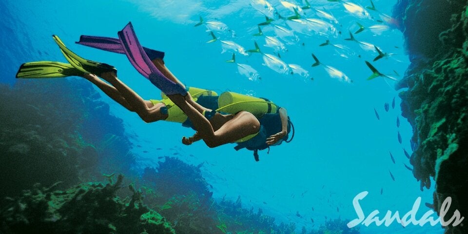 Luxus unter karibischen Palmen