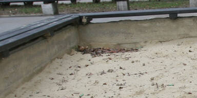 Junkie schoss M&auml;dchen (4) Stein auf Kopf