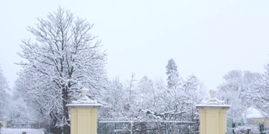 Schönbrunn