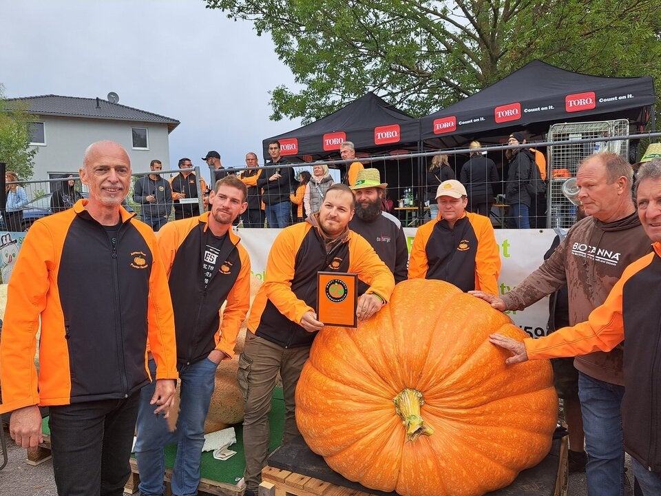884 Kilo: Riesenkürbis aus NÖ schlägt alle Rekorde