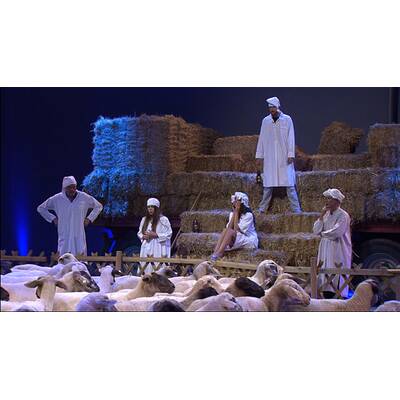 Promi Big Brother: Schäfchen für alle