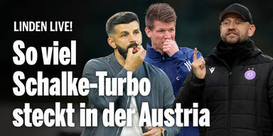 Helm Muslic Schiemer