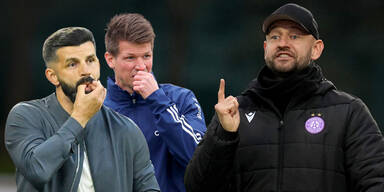 Helm Muslic Schiemer