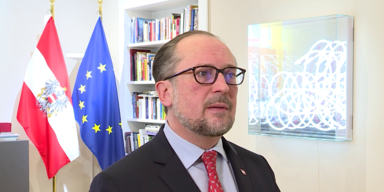 Gr&uuml;ne attackiert Schallenberg: Wirtschaft wichtiger als Nawalny